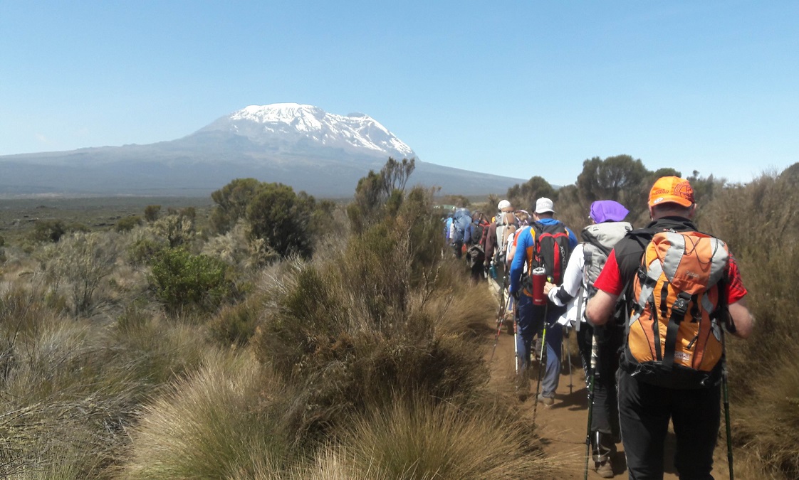 trekking lemosho