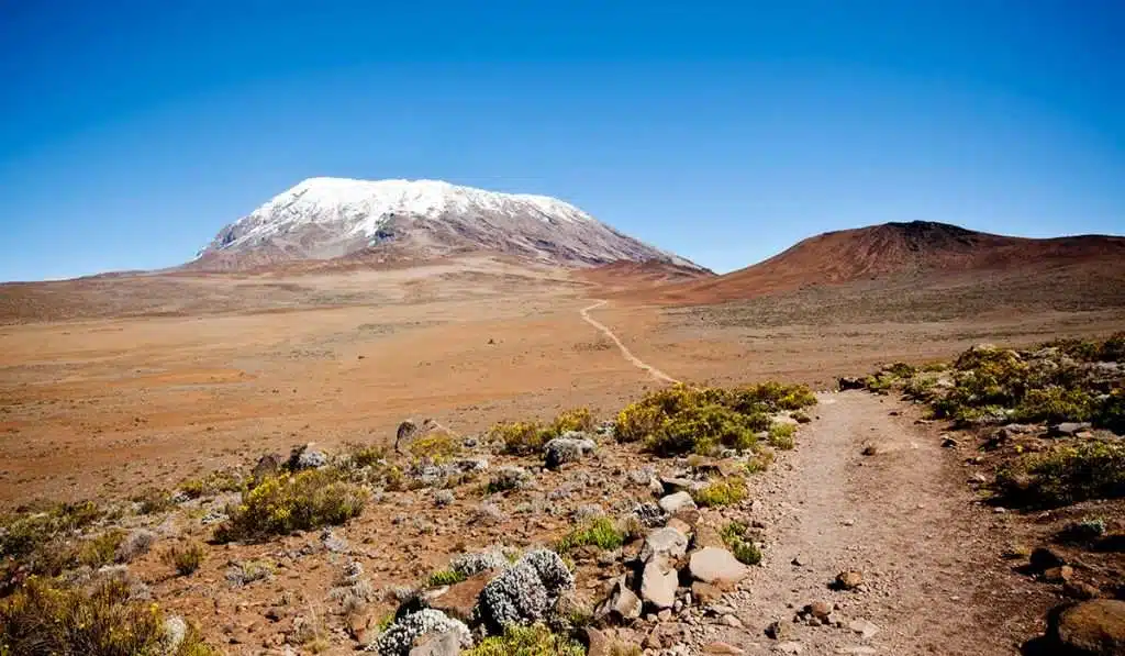 rongai 6 days kilimanjaro