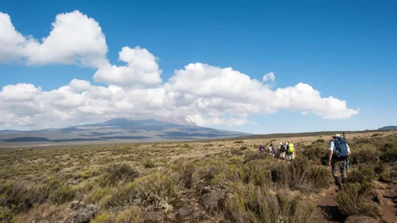 rongai 7 days kilimanjaro