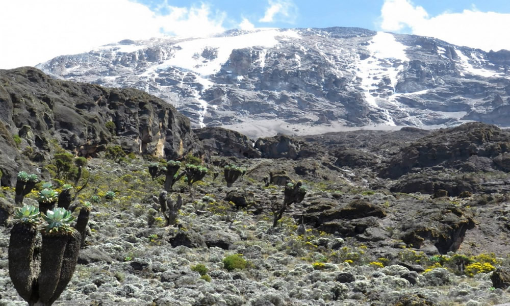 umbwe 7 days kilimanjaro