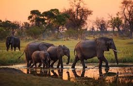 tarangire national park